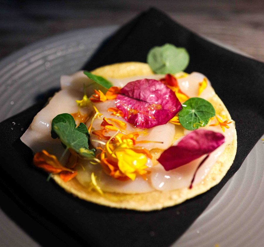 Scallop dish at Darkroom